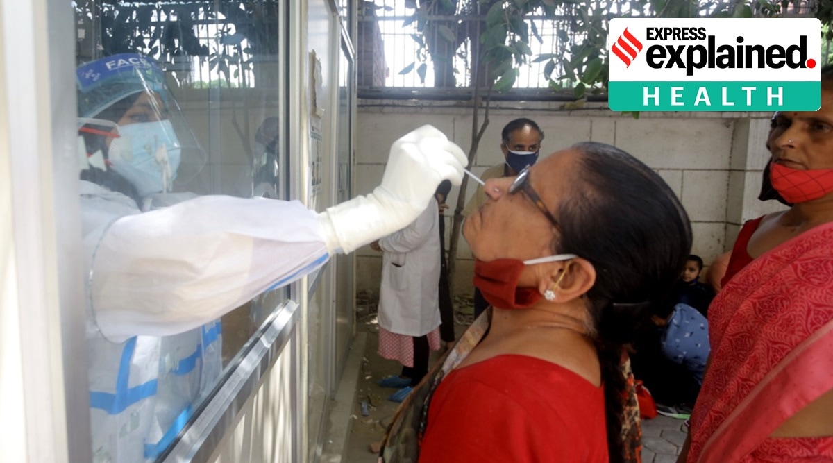 what is CT value, ct value covid 19 test, What is CT value home test kit, CT value meaning in RT-PCR test, how to read Covid test report, Indian Express