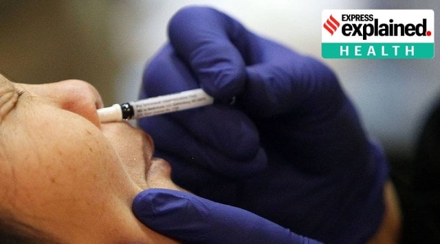 Can the nasal spray be an effective viral treatment? (File Photo)