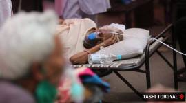 Delhi covid cases, Delhi government, Delhi covid crisis, AAP MLA demands president's rule, Shoaib Iqbal, Delhi High court, delhi news, Arvind Kejriwal, indian express