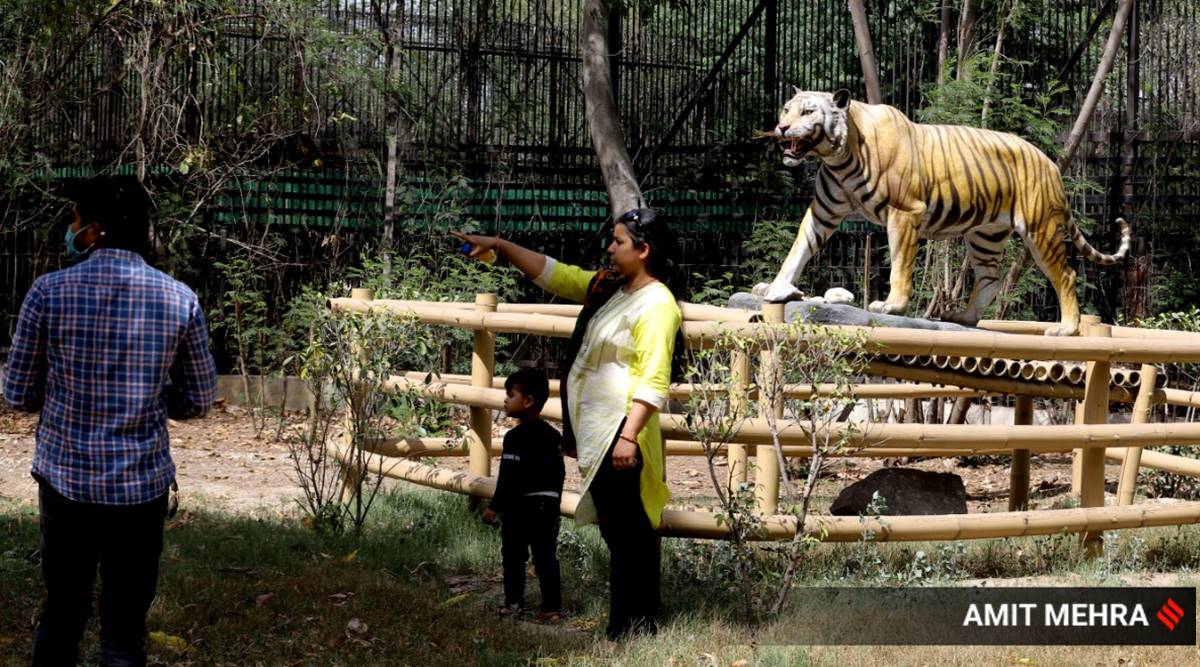 delhi safari zoo