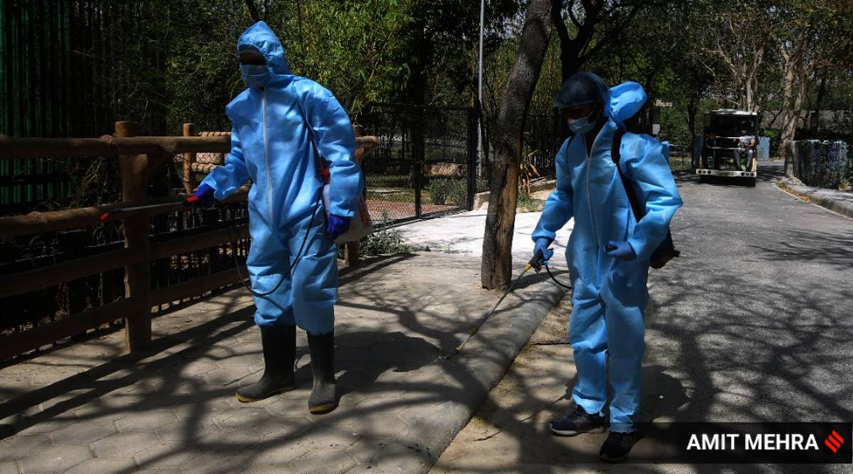 Delhi zoo, Delhi zoo reopening, Delhi news, Delhi National Zoological Park, indian express