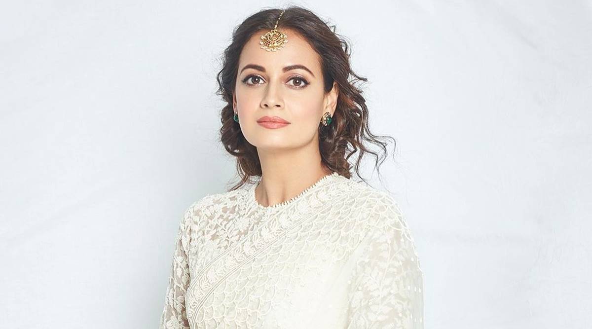 Dia Mirza replies to troll who questioned timing of her pregnancy  announcement: &#39;We didn&#39;t marry because we were having a baby together&#39; |  Entertainment News,The Indian Express