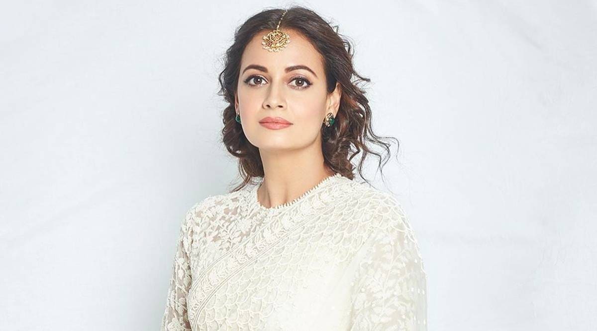 Dia Mirza replies to troll who questioned timing of her pregnancy announcement: &#39;We didn&#39;t marry because we were having a baby together&#39; | Entertainment News,The Indian Express