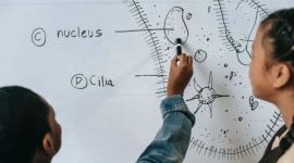 neet ug 2021, neet official website, nta neet application forms, neet exam pattern, neet ug exam tips, neet syllabus, neet previous years question papers, sample papers, previous years question, neet pg last year questions