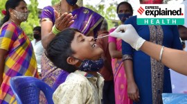 covid 19 cases, covid, coronavirus, coronavirus cases, coronavirus cases in karnataka, covid 19 cases in karnataka, karnataka covid 19 cases, karnataka coronavirus cases news, karnataka coronavirus news, karnataka covid 19 news