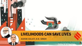 coronavirus, Migrants during covid, coronavirus pandemic, MGNREGA, MGNREGA work, MGNREGA work migrants, India informal sector, india economy, Express opinion, Ashok Gulati writes