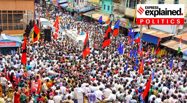 Scenes at a election roadshow by the Dravida Munnetra Kazhagam (DMK) in Tenkasi district. (PTI Photo)