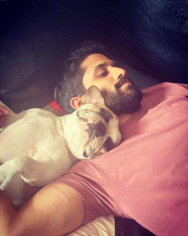 Samantha Akkineni, pet husband Naga Chaitanya,
