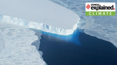 Called the Thwaites Glacier, it is 120 km wide at its broadest, fast-moving, and melting fast over the years. (Photo: Wikimeda Commons)