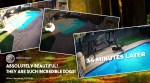Dog rescue dog, swimming pool, South Africa, Dog rescue videos, Dog helps another dog, viral video, Trending news, Indian Express news.
