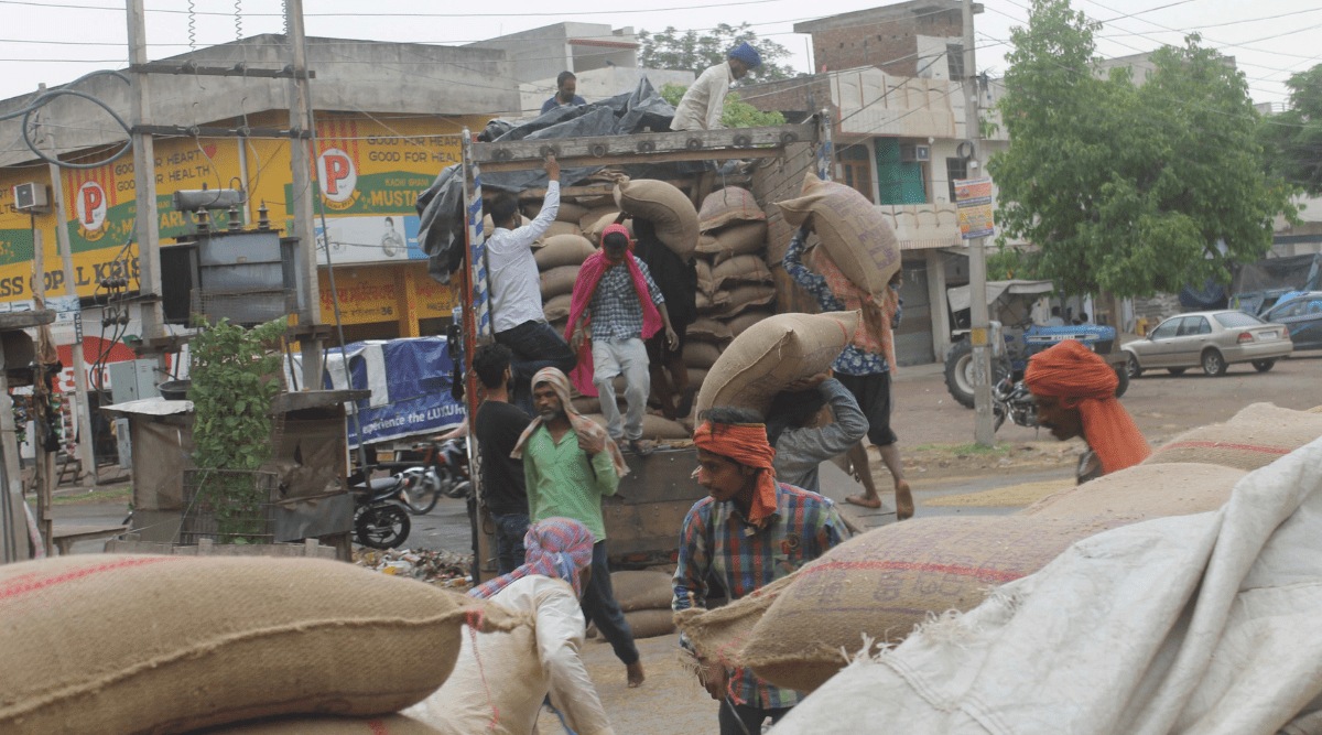 Daily around 8 LMT wheat is arriving in the state’s mandis including 7.33 LMT on Monday despite the fact that government is issuing the daily passes to farmers to avoid the rush so as to adhere the norms under Covid-19. (Express Photo by Gurmeet Singh/Harmeet Sodhi)