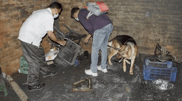 Police with a sniffer dog inspect the site of an explosion which took place in an illegal firecracker factory, in Bijnor, Thursday, April 8, 2021. (PTI Photo) 