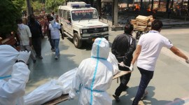 Madhya Pradesh, Covid-19