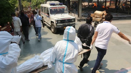 Madhya Pradesh, Covid-19