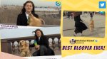 dog runs away with reporter mic, russia mir tv dog run away with mic, mir 24 dog run away with mic, dog blooper live tv, live tv bloopers, viral videos, indian express