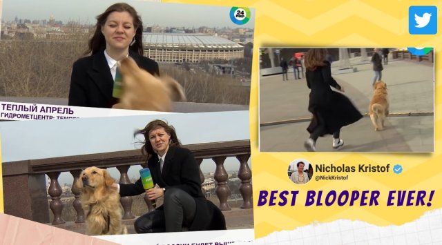 dog runs away with reporter mic, russia mir tv dog run away with mic, mir 24 dog run away with mic, dog blooper live tv, live tv bloopers, viral videos, indian express