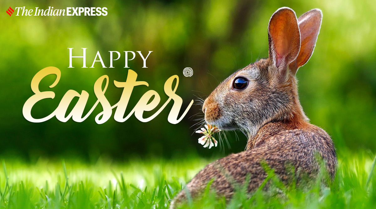 Happy Easter 2022: Wishes, Images, Quotes, Status, Messages, Wallpapers,  GIF Pics, Photos, Greetings
