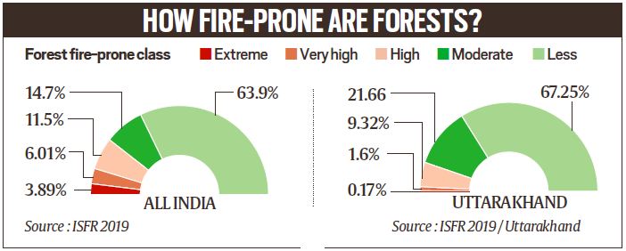 forest fires, India forest fires, Uttarakhand forest fires, Himachal forest fires, what is forest fire, forest fires climate change, forest fires explained, indian express 