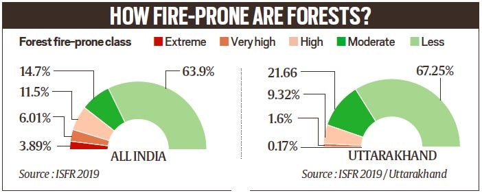 instal the new for android Forest Fire