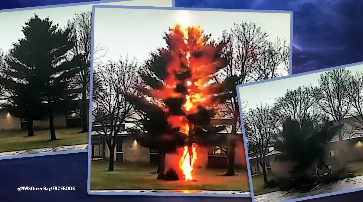 ‘When thunder roars, go indoors’: Dramatic video shows lightning strike ...