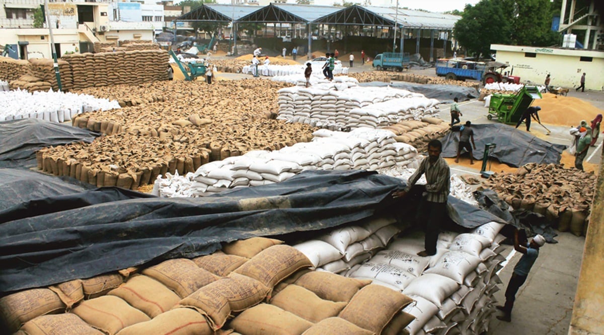 Direct MSP transfers begin, Punjab farmers ring in the new