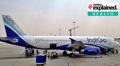 How is India’s domestic aviation market placed right now?