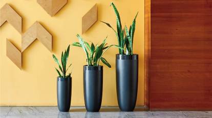 Use indoor flower pots to spruce up your home decor; here\'s how ...