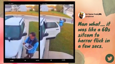 man saves wife from bobcat, man saves as bobcat attacks wife, vivint home man bobcat attack video, burgaw bobcat attack woman under car video, indian express