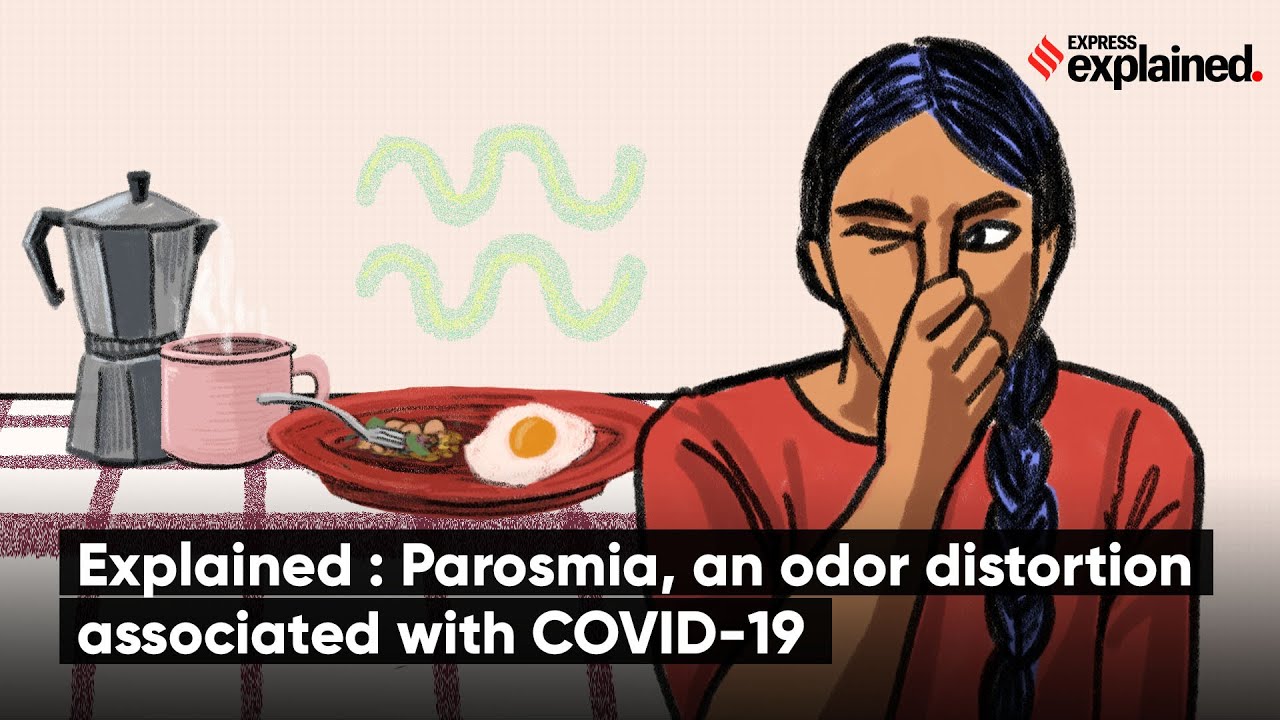 Explained Parosmia An Odor Distortion Associated With Covid 19-The ...