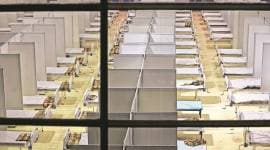 Delhi coronavirus cases, Delhi covid-19 cases, Delhi covid-19 helpline, Delhi helpline of COVID-19, india news, indian express