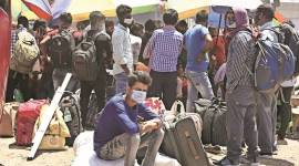 Migrant movement in Gurugram Gurgaon covid news, Gurgaon covid cases, Gurgaon covid ventilator beds, Indian express, Indian express news