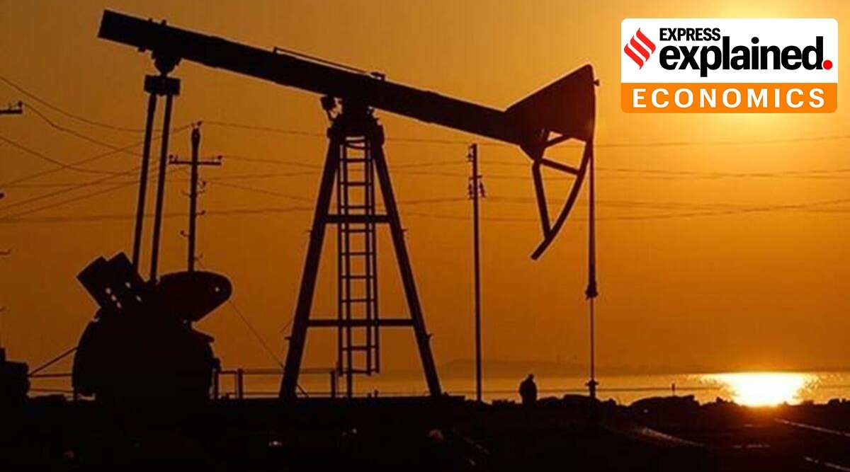 Oil