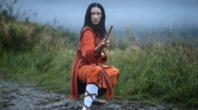 kung fu