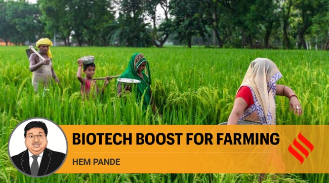 It is high time Indian agriculture transforms into precision agriculture by using modern tools of biotechnology.