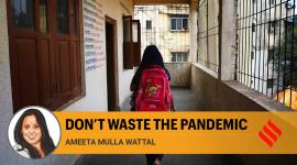 opinion 3 no alt set