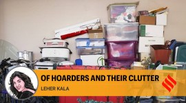 opinion 4 (3) no alt set