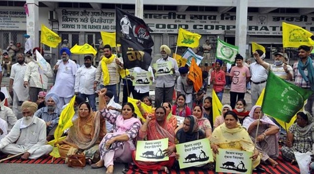 Haryana arhtiyas go on strike against DBT, govt claims limited impact