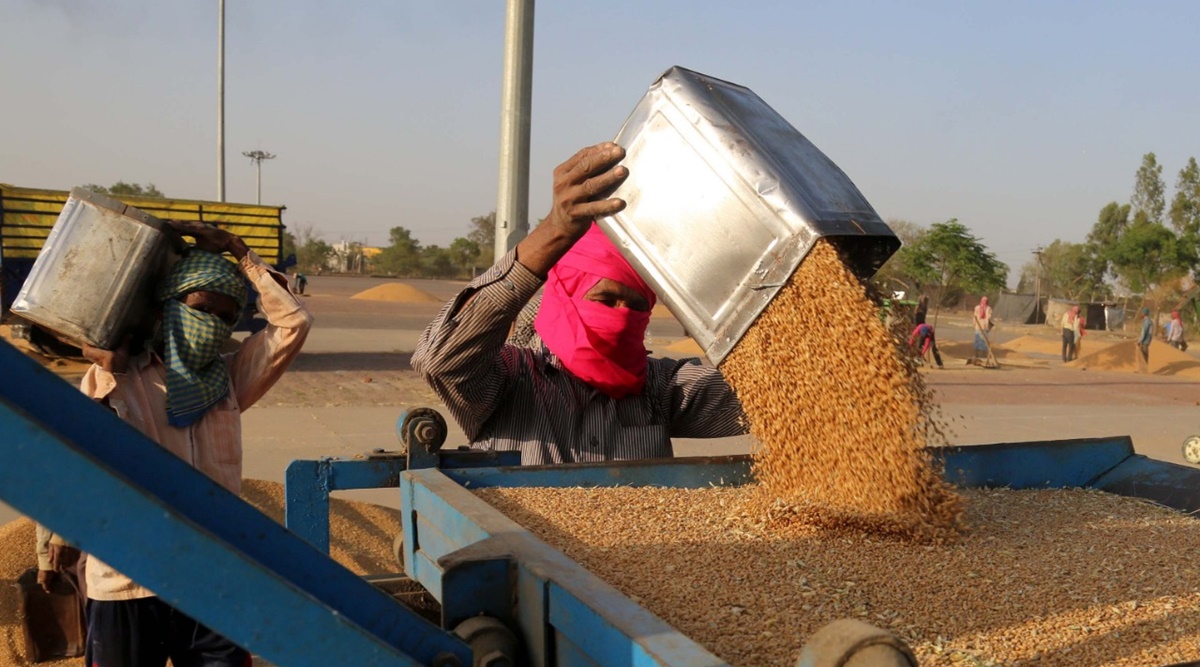 Punjab: Farmers allege arhtiyas demanding ‘signed blank cheques’ to facilitate procurement