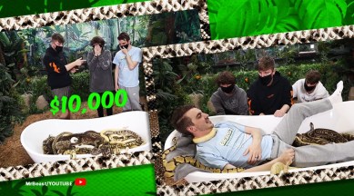 snake, snake show, Would You Sit In Snakes For $10,000, YouTuber MrBeast, snake viral video, youtube, youtube reactions, trending, indian express, indian express news