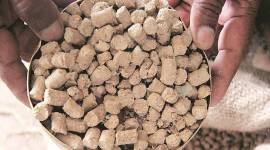 soyabean procurement