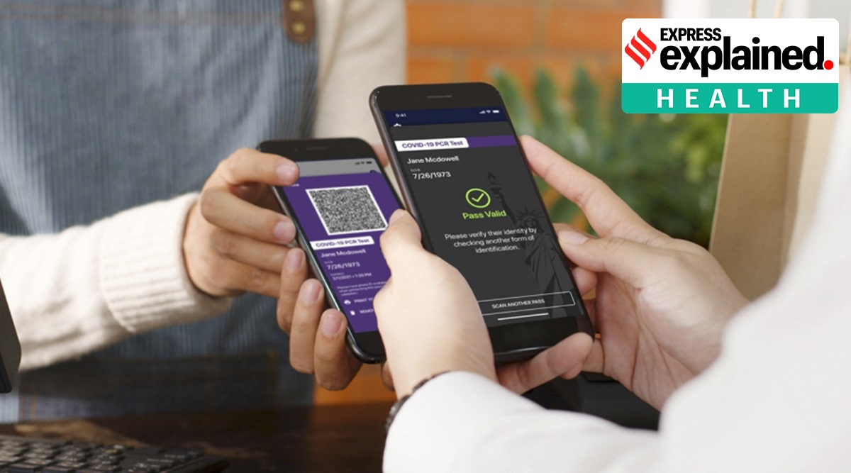 New York State's Excelsior Pass, which tracks vaccination records. (New York State via The New York Times) 