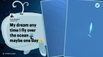 whale from plane, woman spots whale from plane, California woman see whale from flight, santa barbara canal whale spotting, viral tweets, indian express, odd news