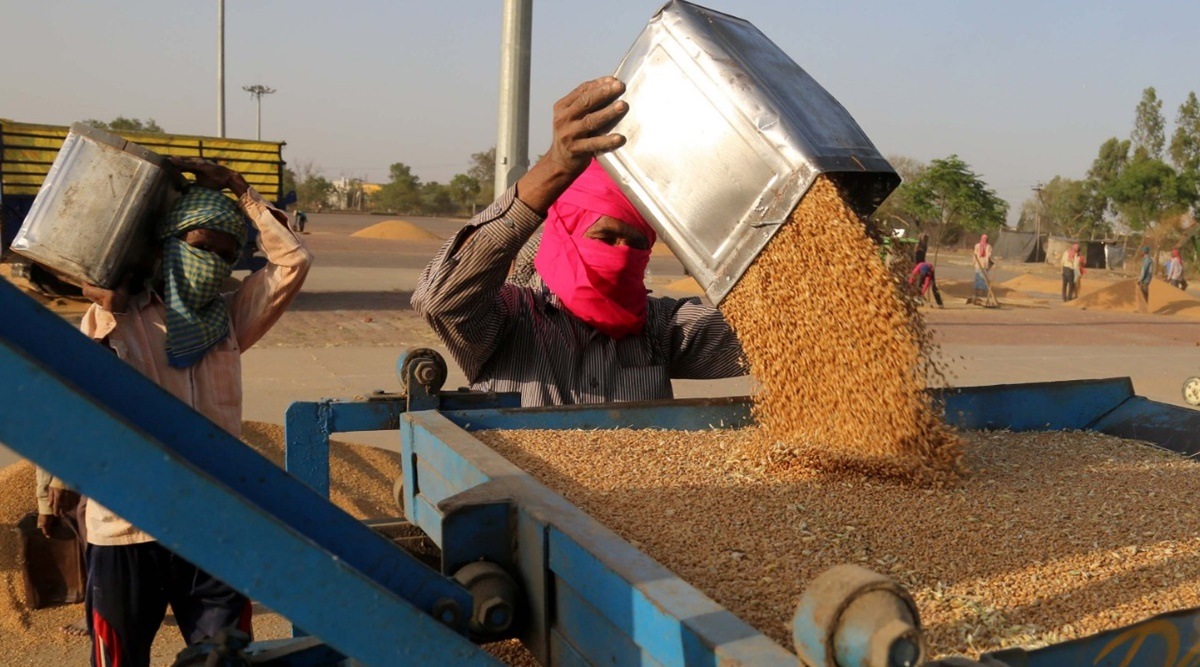 Narela Mandi, wheat, MSP