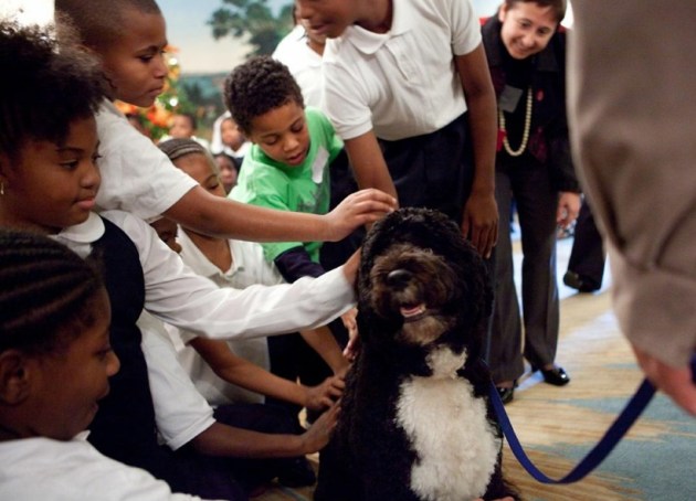 barack obama, michelle obama, barack obama michelle obama, barack obama pet dog, michelle obama pet dog, indian express, indian express news