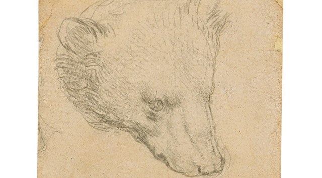 Leonardo da Vinci's (1452-1519) "Head of a bear" (Photo: Reuters)