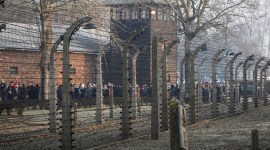 Auschwitz Museum, Auschwitz Museum review, Auschwitz Museum tripadvisor, Auschwitz Museum history, tripadvisor review