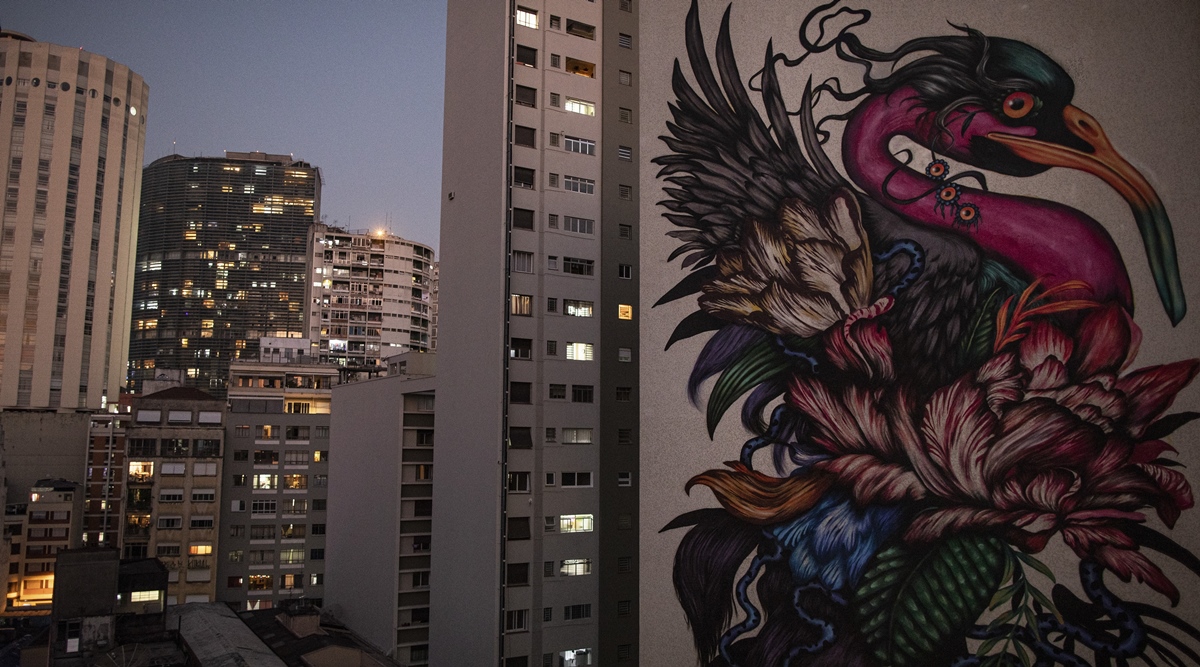 Good for the soul': Giant murals turn São Paulo into open-air gallery |  World News,The Indian Express