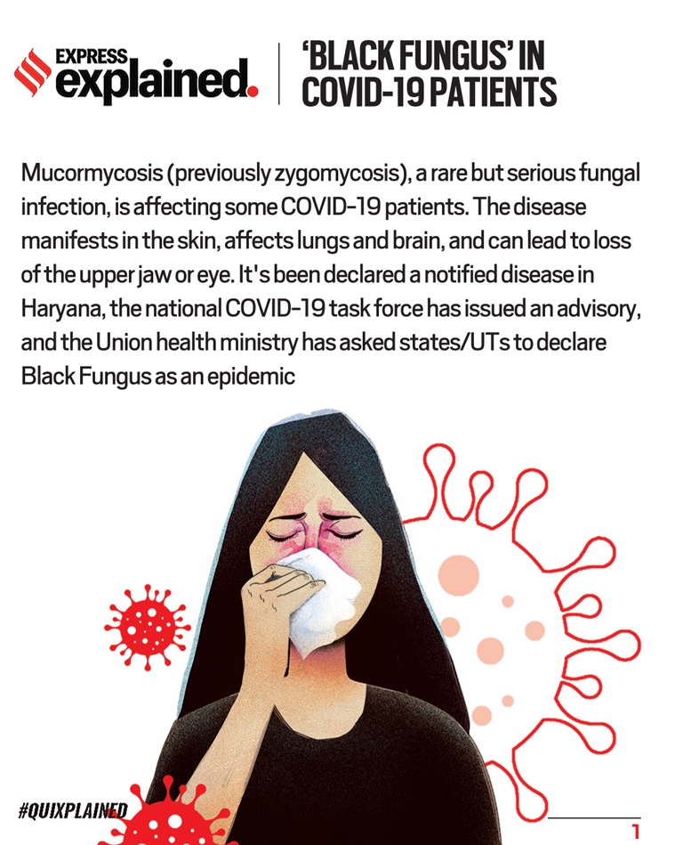 Black Fungus in Covid-19 patients: What is mucormycosis or ‘black