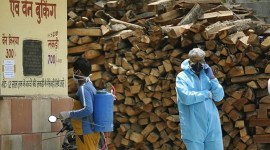 Punjab orders chopping of dead trees to collect wood for Covid cremations