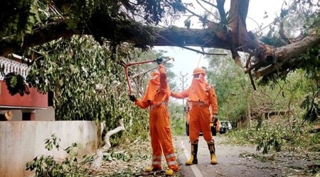 Cyclone Tauktae: Electricity outage, crippled internet connectivity in Goa